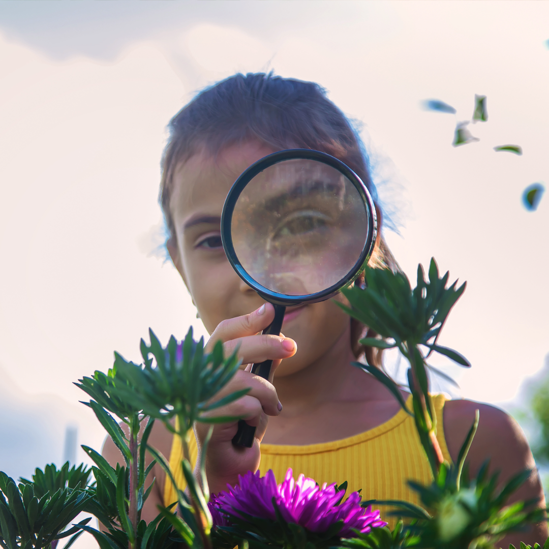 Go Outside. It's Science.🪻(Happy Spring Equinox)🐝