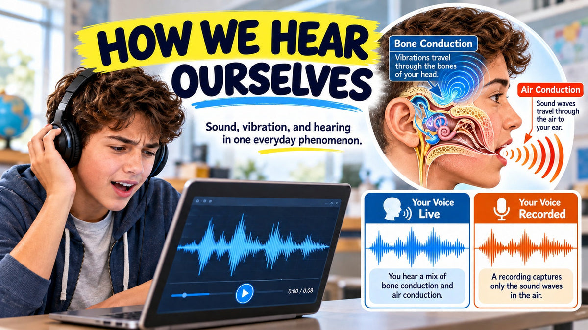 What Your Own Voice Can Teach Students About Sound, Vibrations, and Hearing