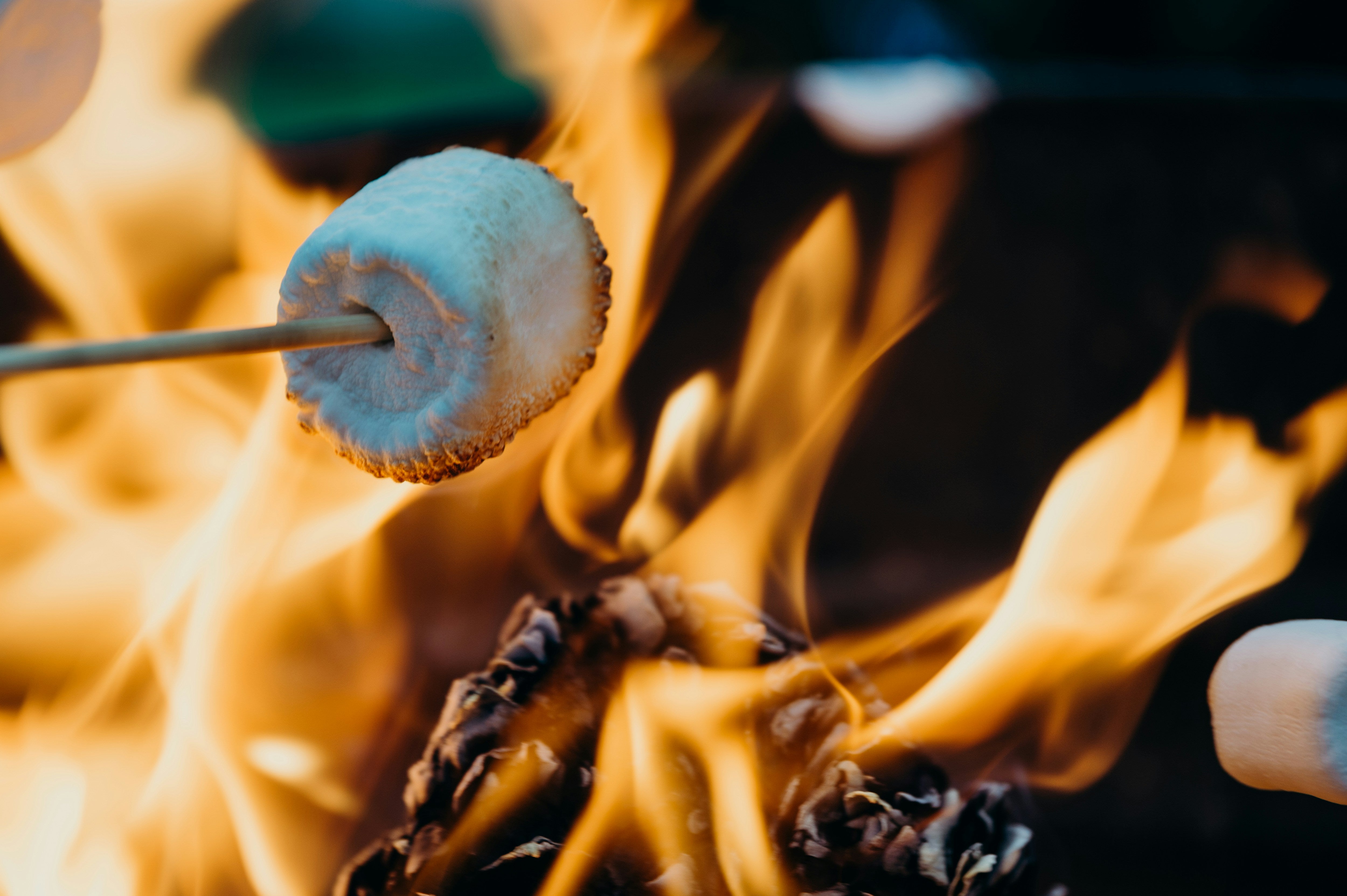 S'mores, Storms, and Sediment: The Science of Every Campsite