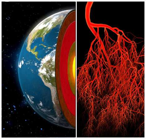 Earth Cross Section and Blood Vessels Composite Image