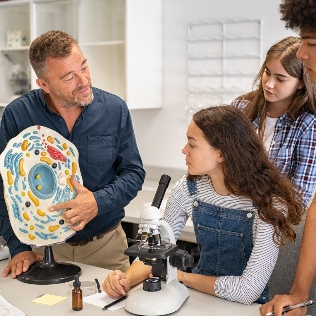 Teacher pointing at model of cell as students observe.