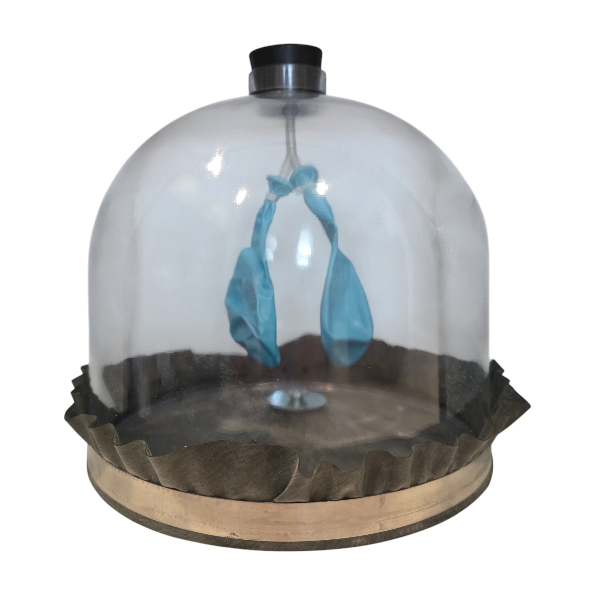 Lung Apparatus, Deluxe Model