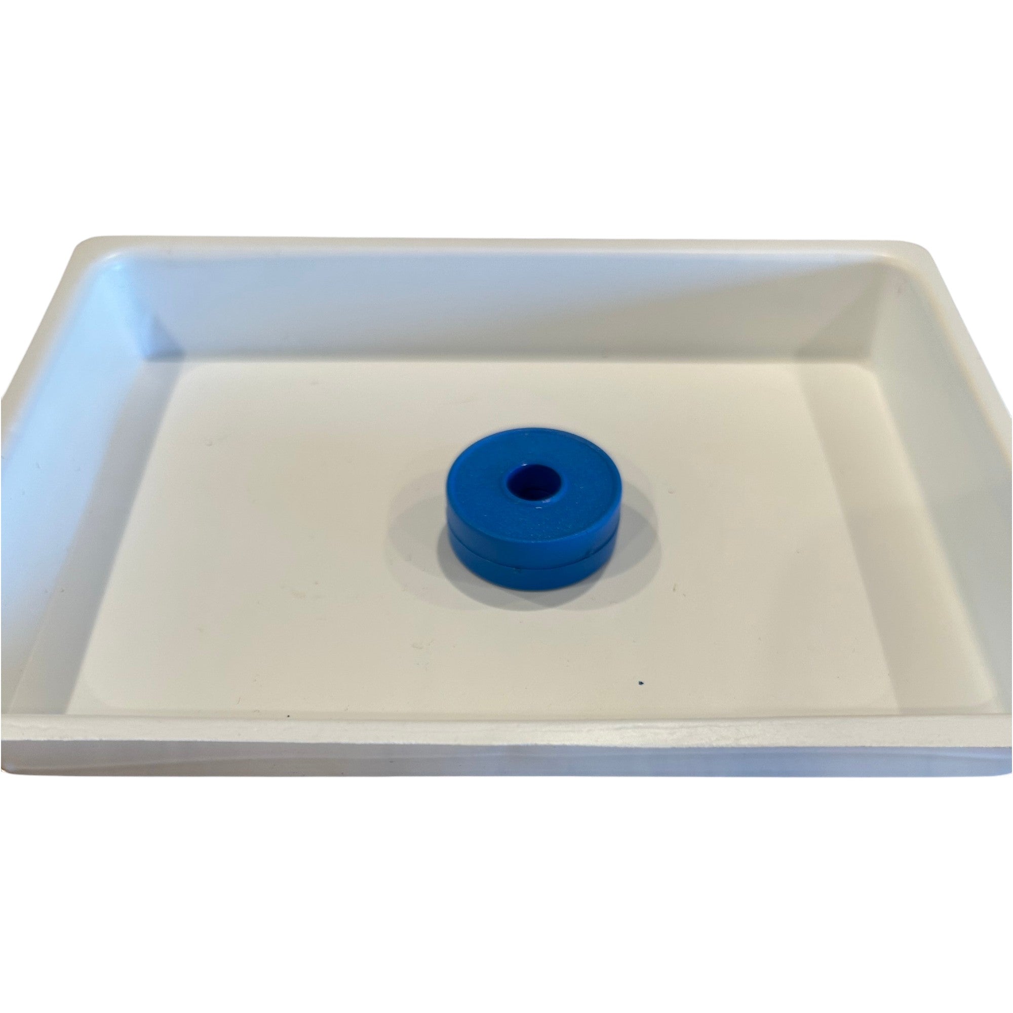 Magnet Ring 6 assorted Colors: Green, Orange, Purple, Red, & 2 shades of Blue