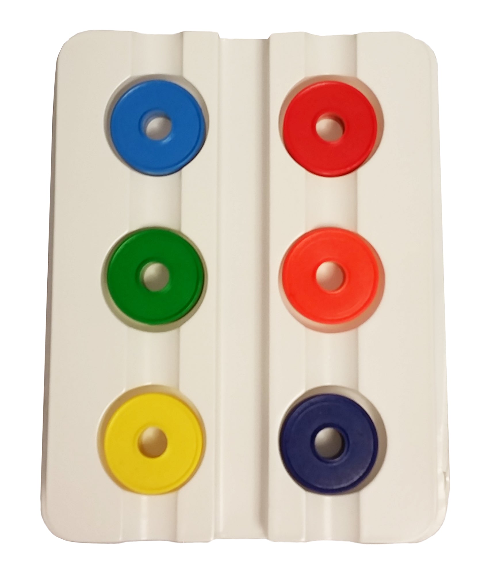 Plastic-Coated Magnetic Rings, Pack of 10 by Go Science Crazy