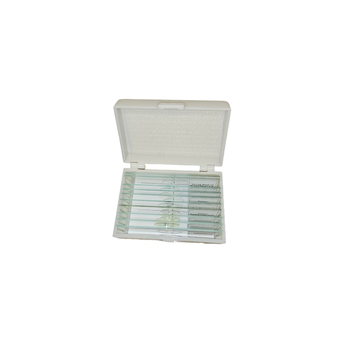 Microscope Slide Plant Set 10 slides. Glass slides and coverslips with quality specimens.