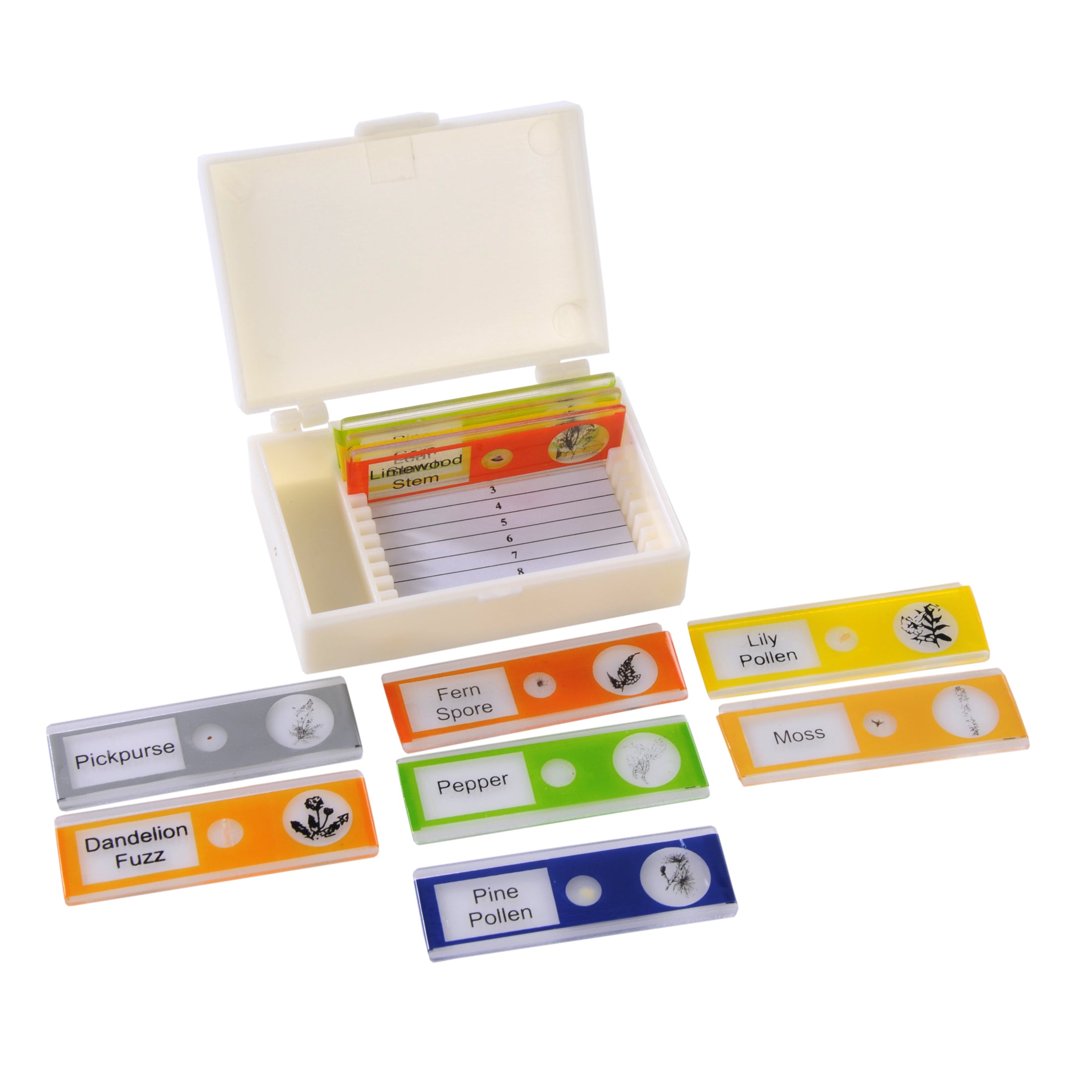 Prepared Microscope Slide Plants Set of 10 Plastic Slides
