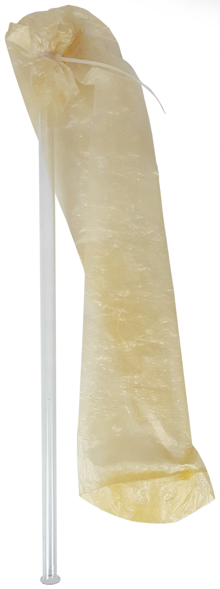 Osmosis Apparatus Bladder Form with Glass Tube