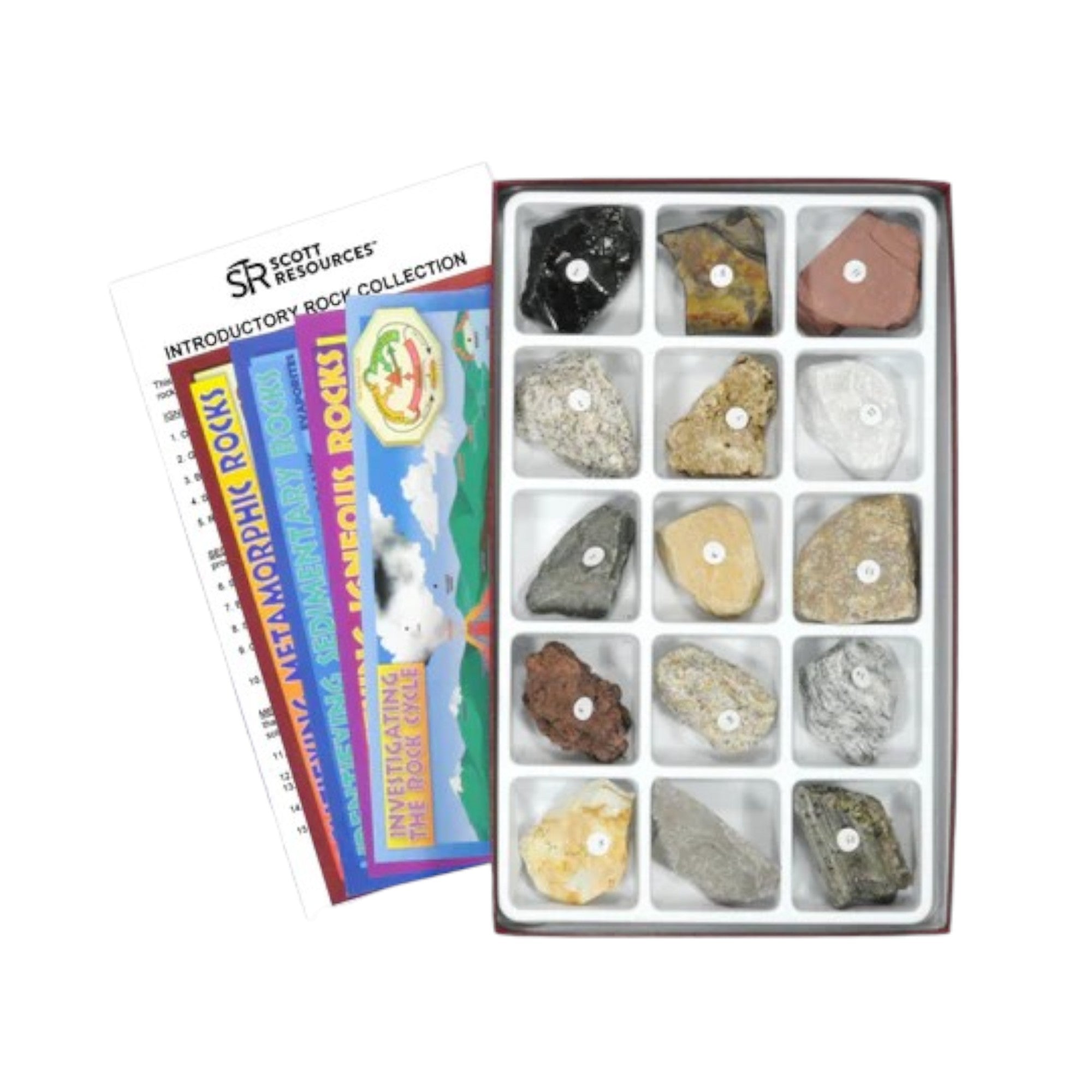 Rock Collection Introductory Set of 15 Specimen