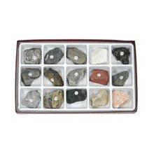 Rock Collection Metamorphic Rocks for Educational & Geology Enthusiast.