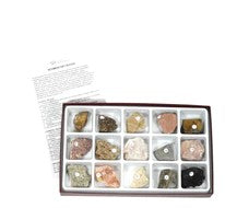 Rock Collection Sedimentary Rock Kit for Educational Kit For Geology Enthusiast.