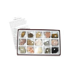 GSC International 2231 Sedimentary Rock Collection Educational Kit. For the Geology Enthusiast.