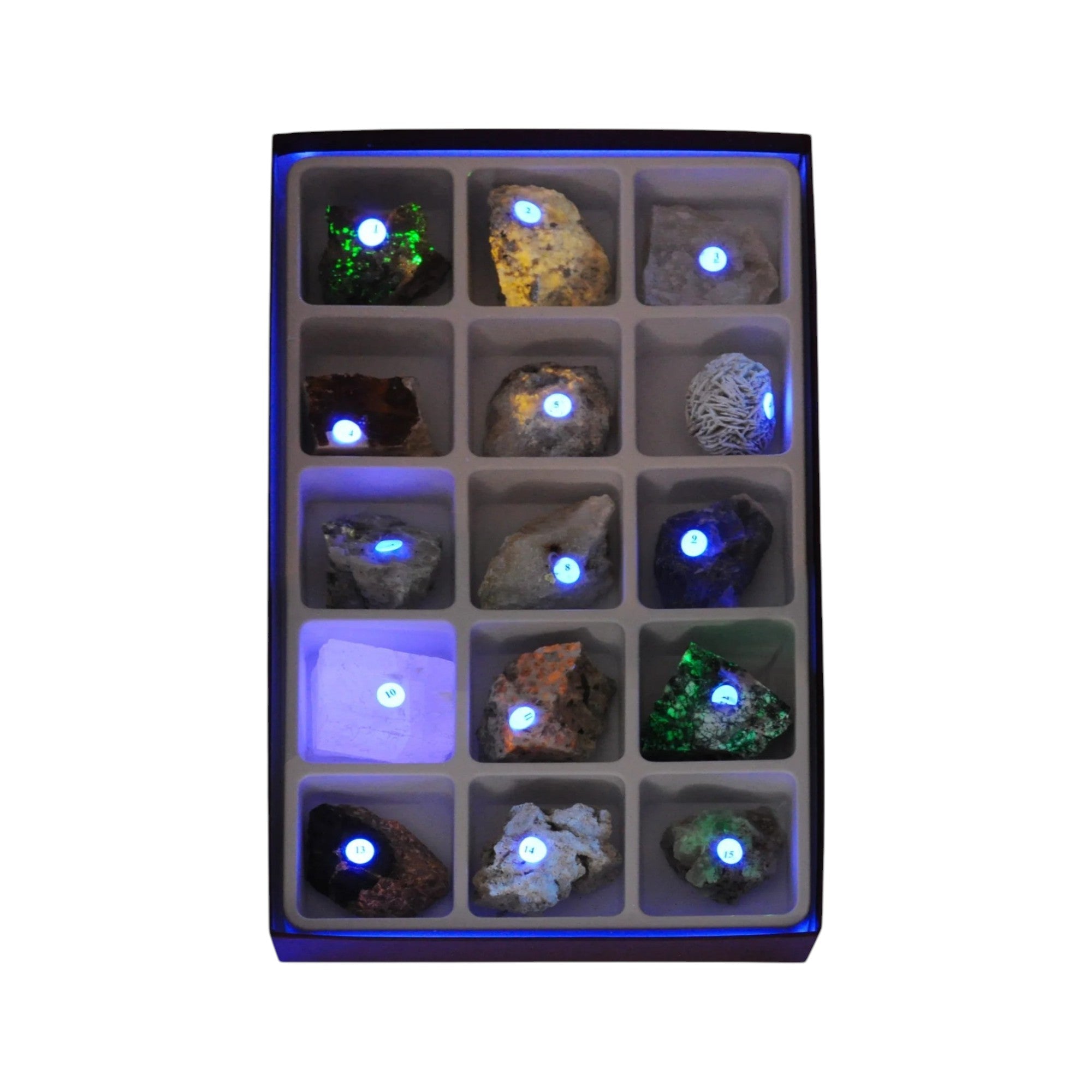 Fluorescent Mineral Specimen & UV Light Kit – Includes 15 Mineral Samples and Dual-Wavelength UV Lamp (254nm & 365nm) – STEM Geology and Earth Science Set