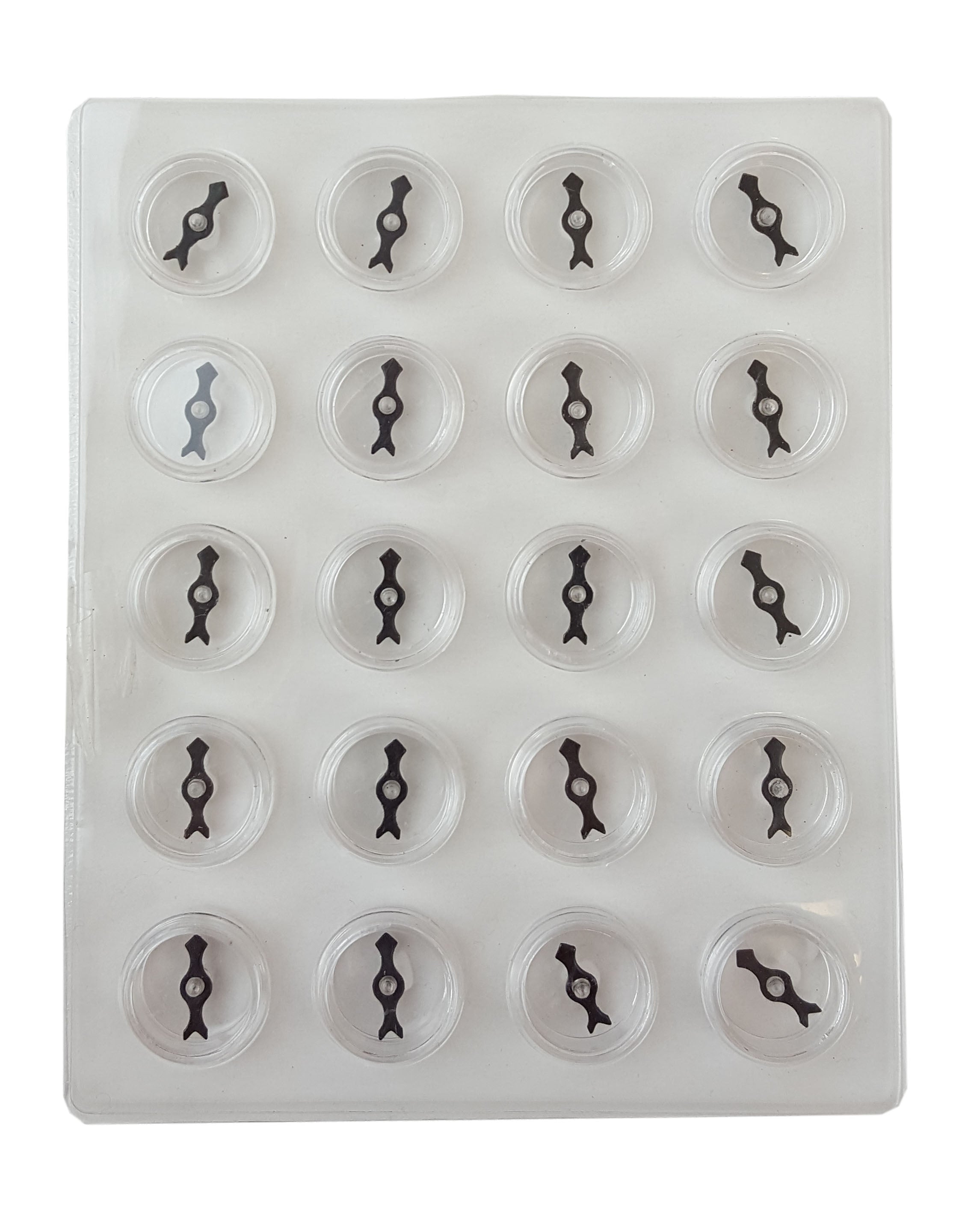 Compass Board, 10-Pack – 20-Compass Magnetic Field Boards for Classroom Science Instruction