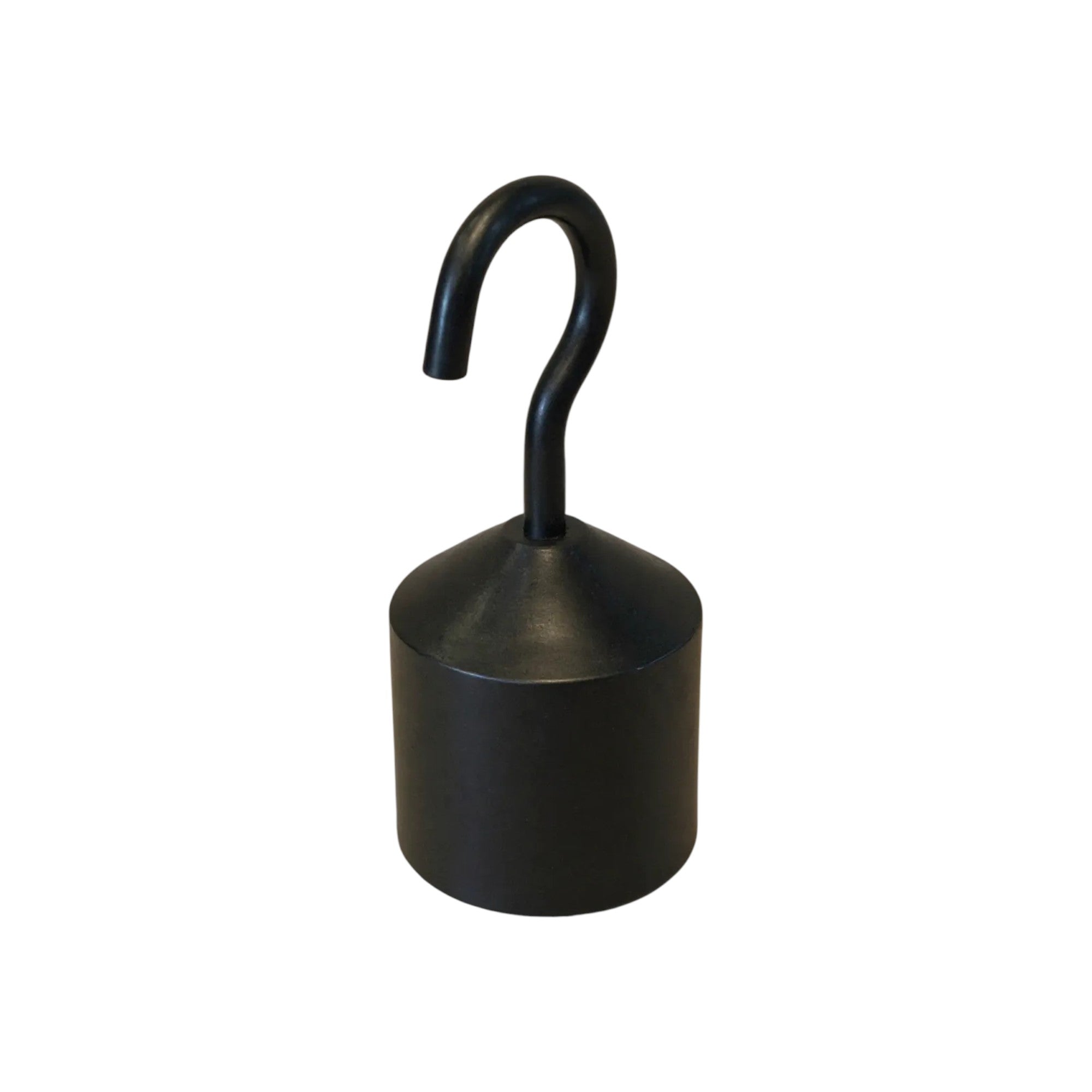 Hooked Mass 100 grams.  Case of 8.   Used in PEER Physics EFG Kit.