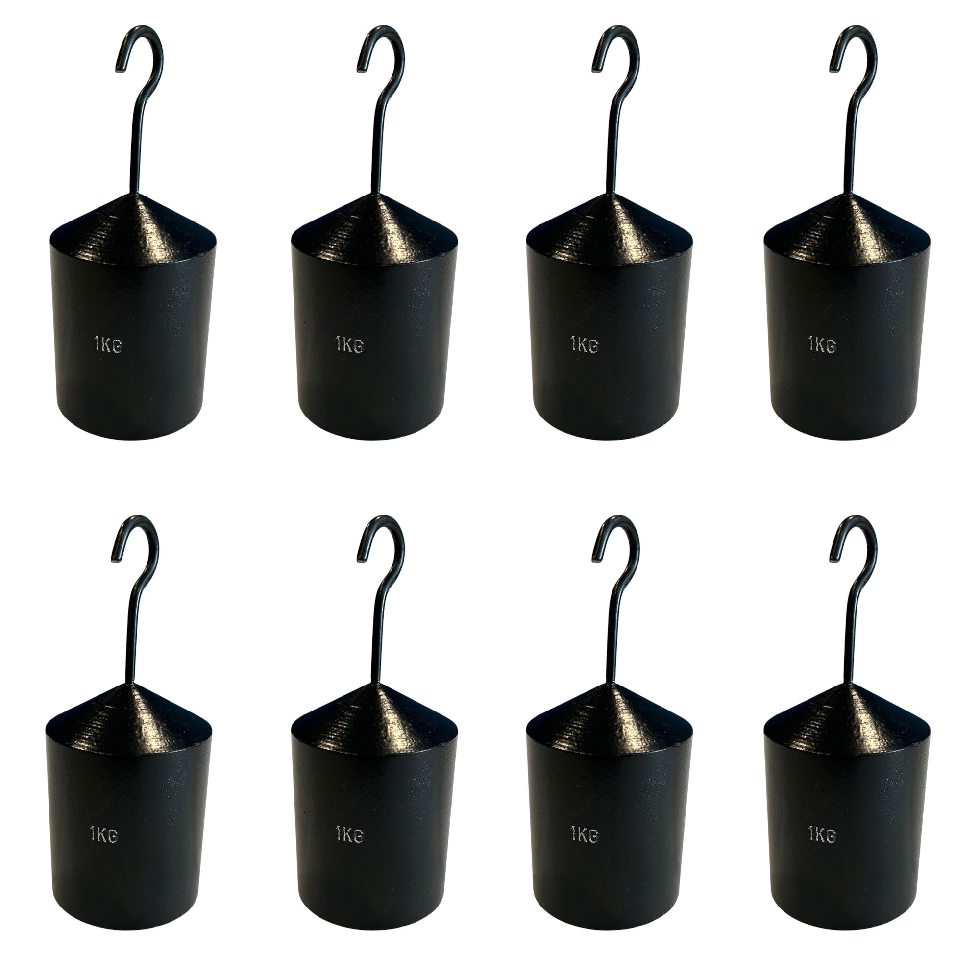 Hooked Mass 1000 grams.  Case of 8.   Used in PEER Physics EFG Kit.