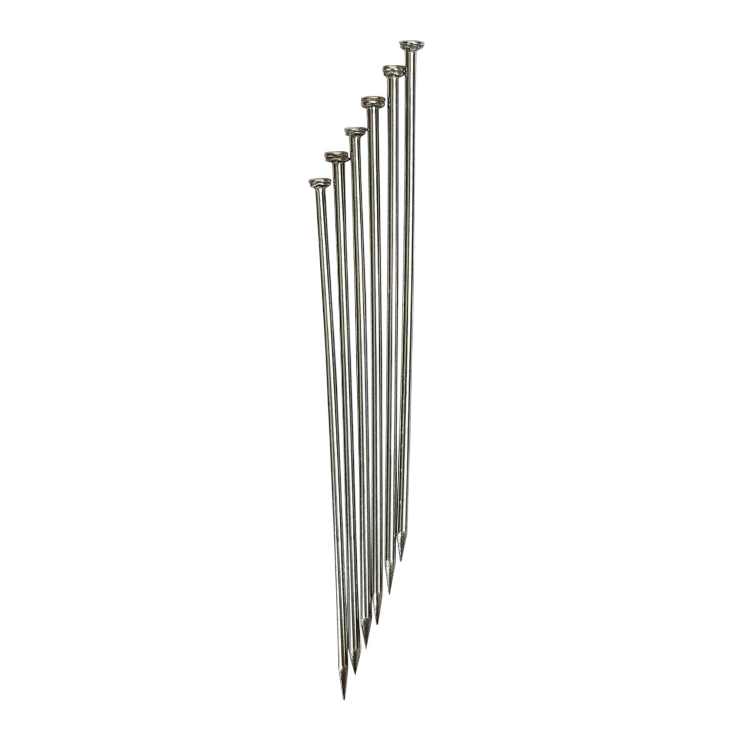 Dissecting Pins, Straight, 2in., Pack of 6