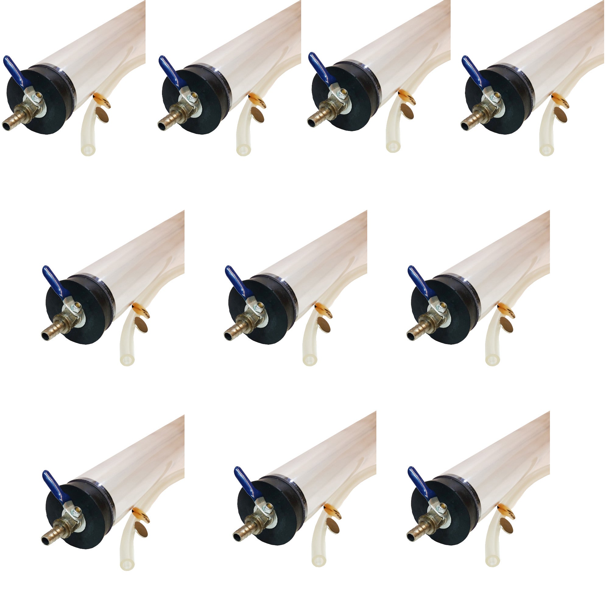 Coin and Feather Demonstration for Physical Science. Case of 10.