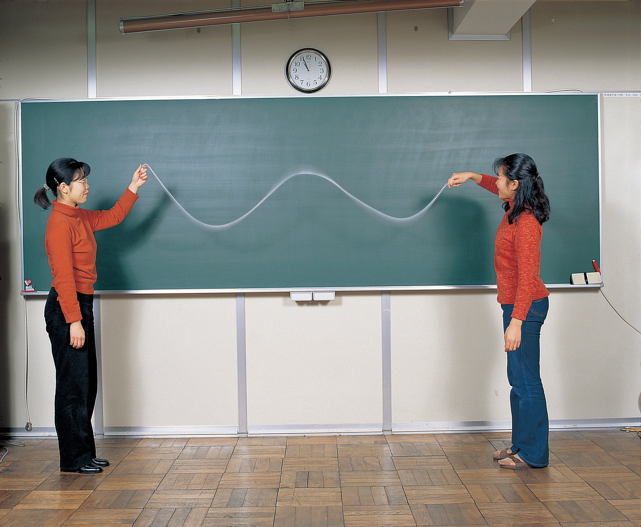 Wave Generation Spring for Physics Classroom Modeling and Equipment. Sold as a pack of 10. Made by Narika Corporation.