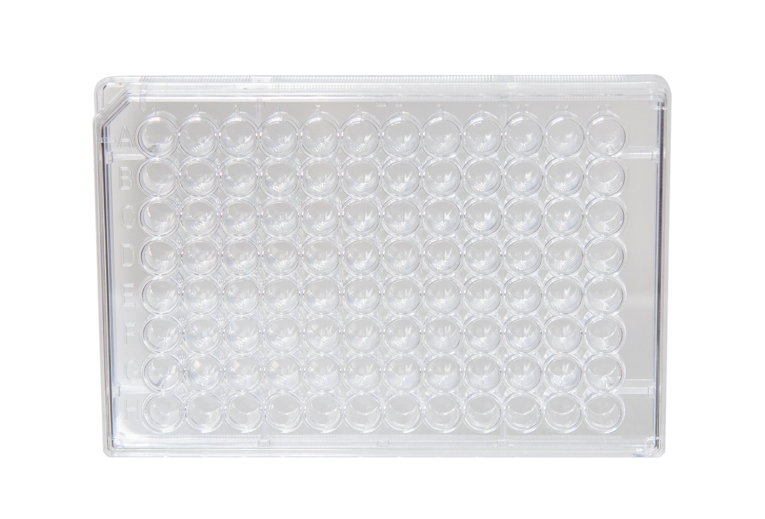 Microplate with 96 Wells and Lid, Clear Polystyrene