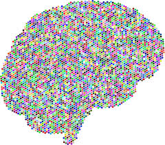Brain with a grid pattern