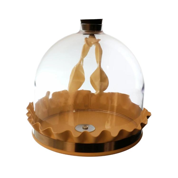 Deluxe lung model