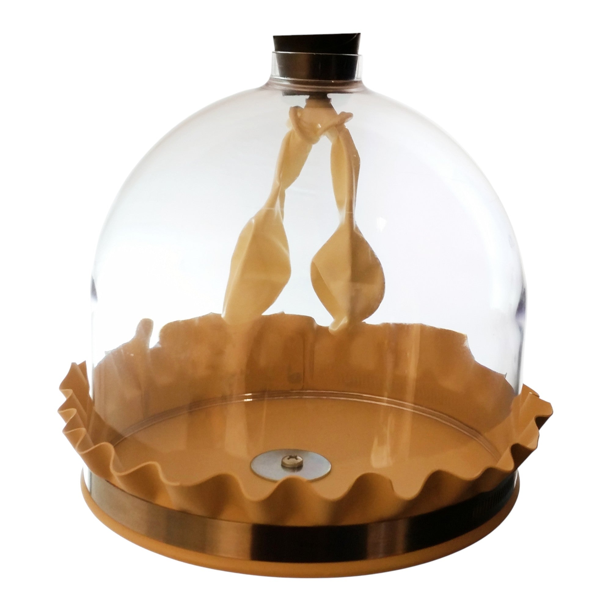 Lung Demonstration Model is a visual demonstration of the function of a lung and atmospheric pressure.  Size 8"x8".  Case 8 units.