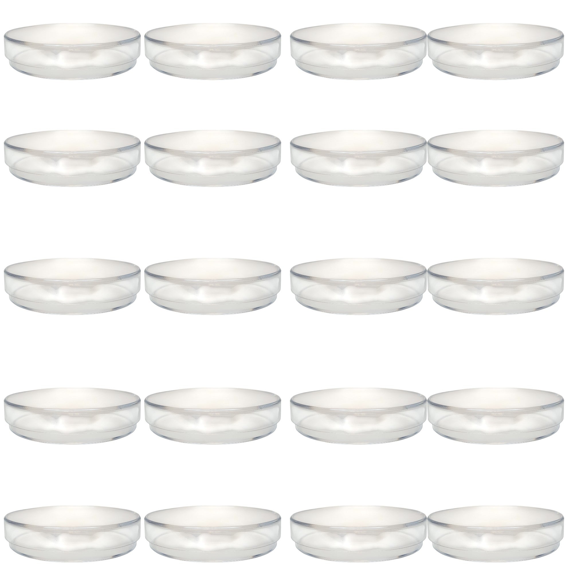 Petri Dish, Polystyrene, 70mm diameter x 15mm height. Pack 20.