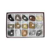 GSC International 2217 Rock Study Kit with 15 Numbered Specimens. For geology enthusiast of all ages.