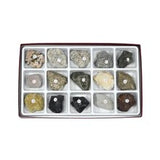 GSC International 2221 Igneous Rock Collection Educational Kit. For the Geology Enthusiast.