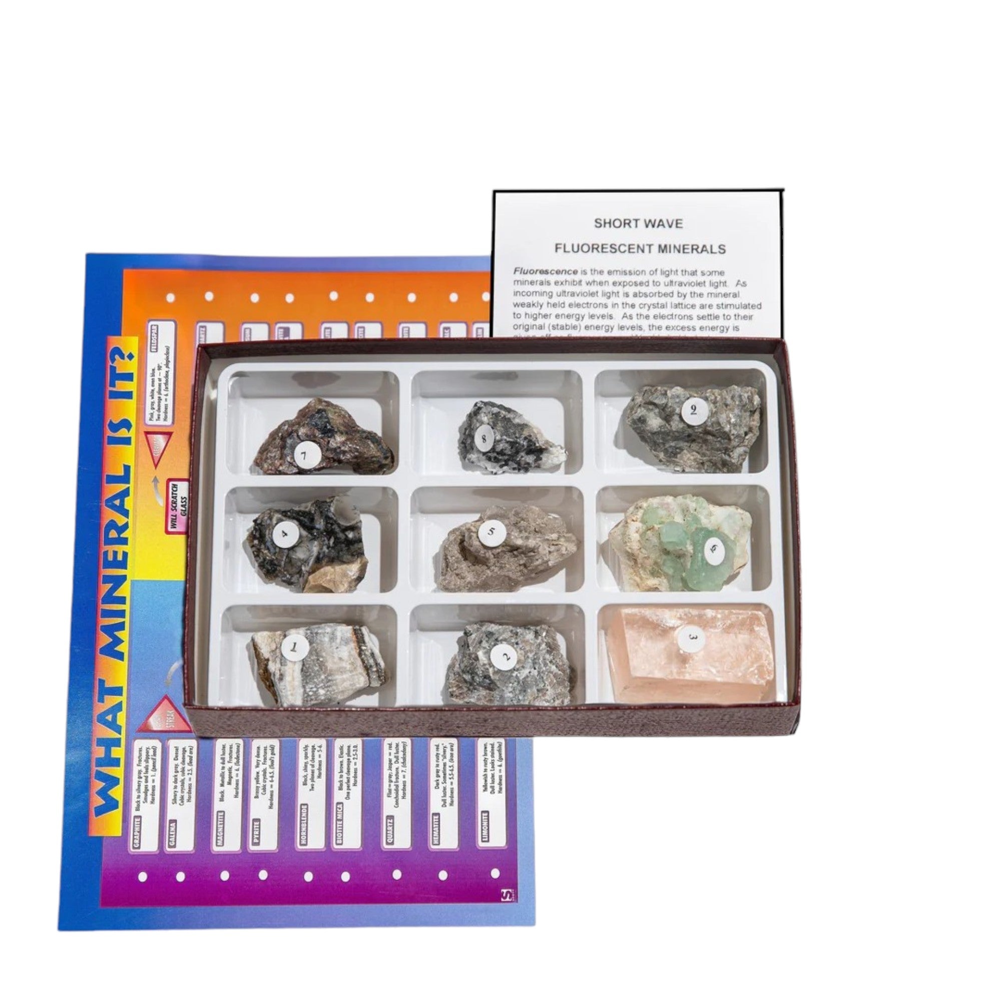 Rocks & Minerals Short Wave Fluorescent Minerals - 9 Specimen