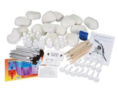 GSC International 3770 Fossil Dig Classroom Project for the Paleontology Enthusiast.
