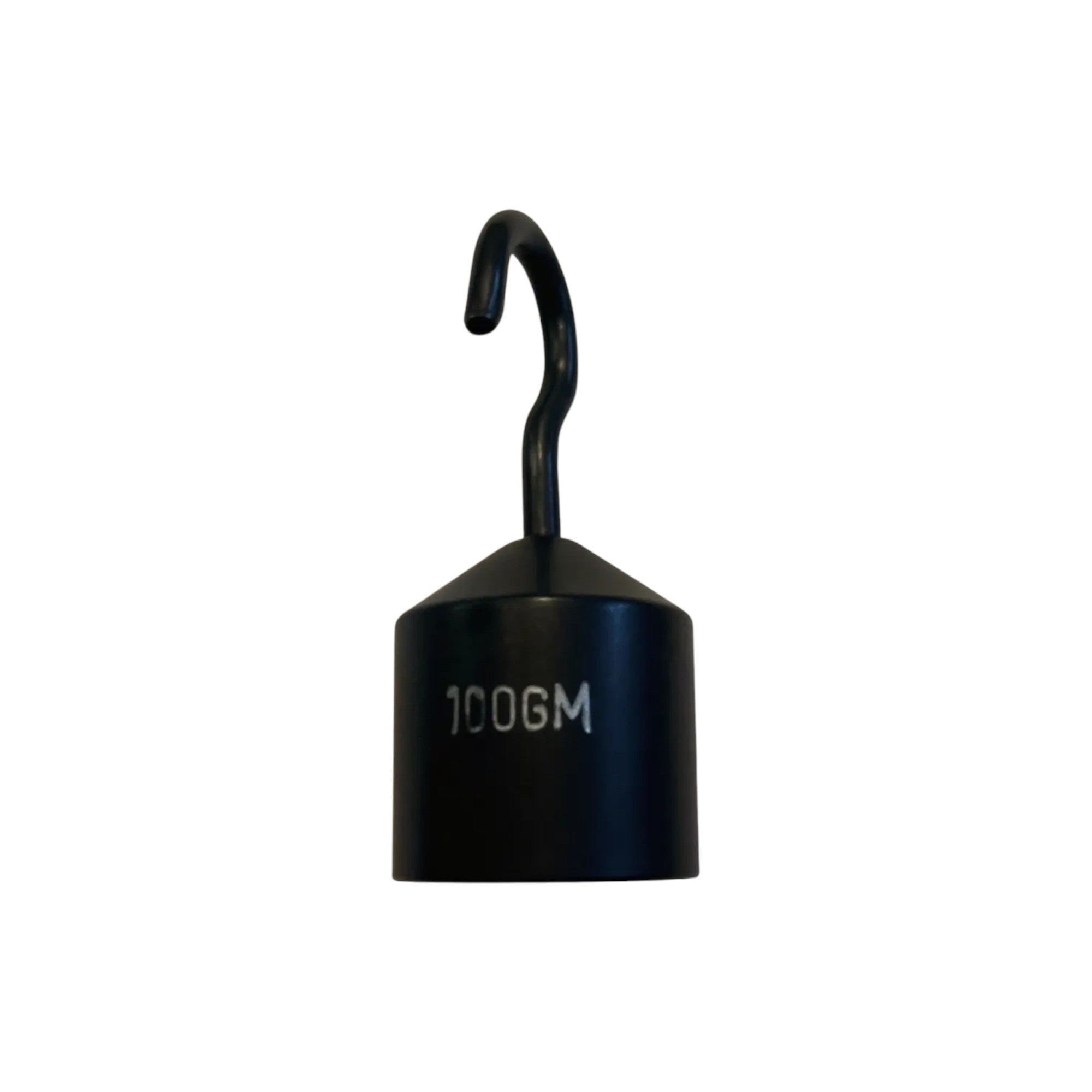 Hooked Mass 100 grams.  Case of 8.   Used in PEER Physics EFG Kit.