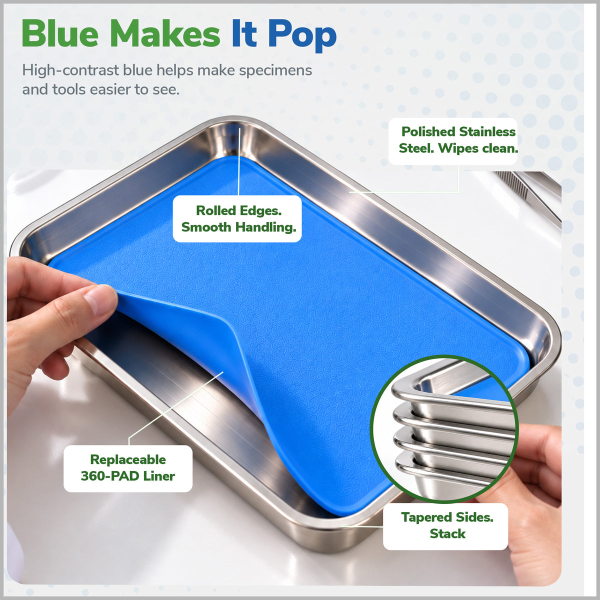 Dissection Kit, Dissecting Pan and Tool Set, 10.5x 7.75 x 1.5 in. Pan