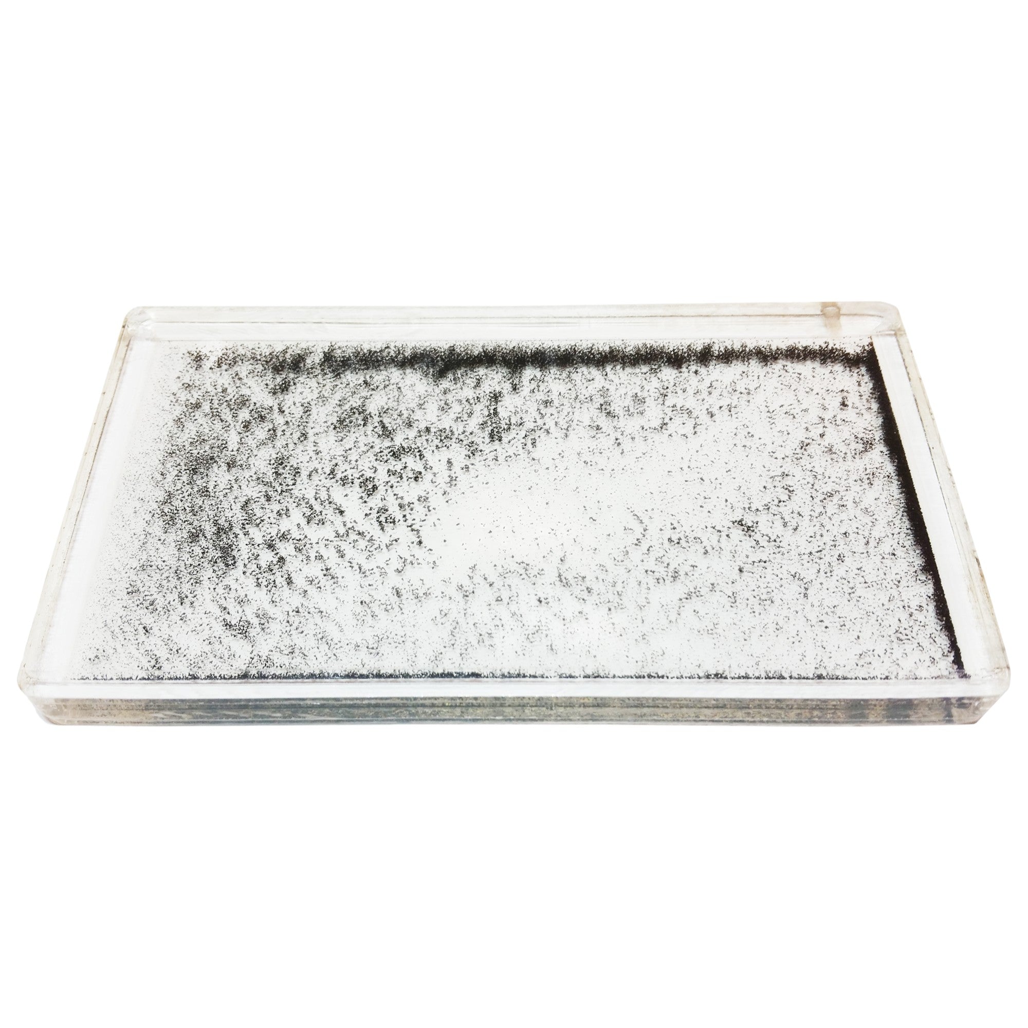 Magnetic Field Demonstration - Explore Magnetism in Science Education.