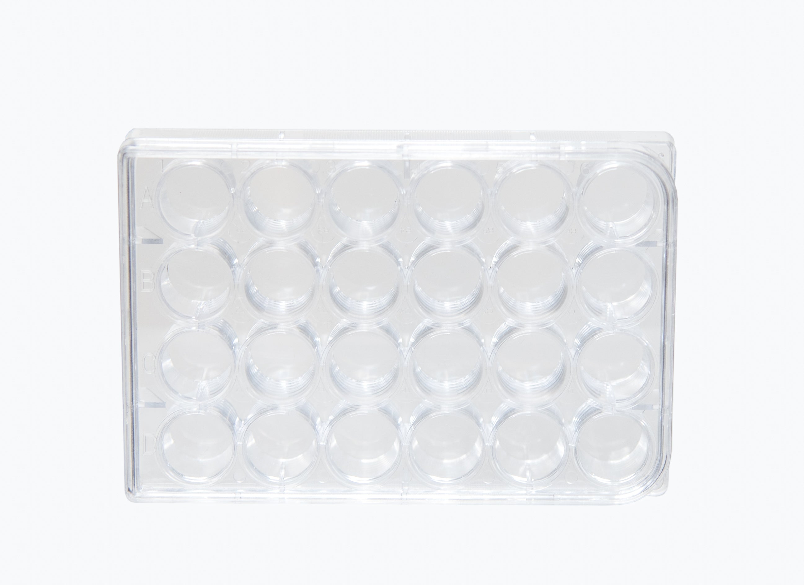Microplate with 24 Wells and Lid, Clear Polystyrene