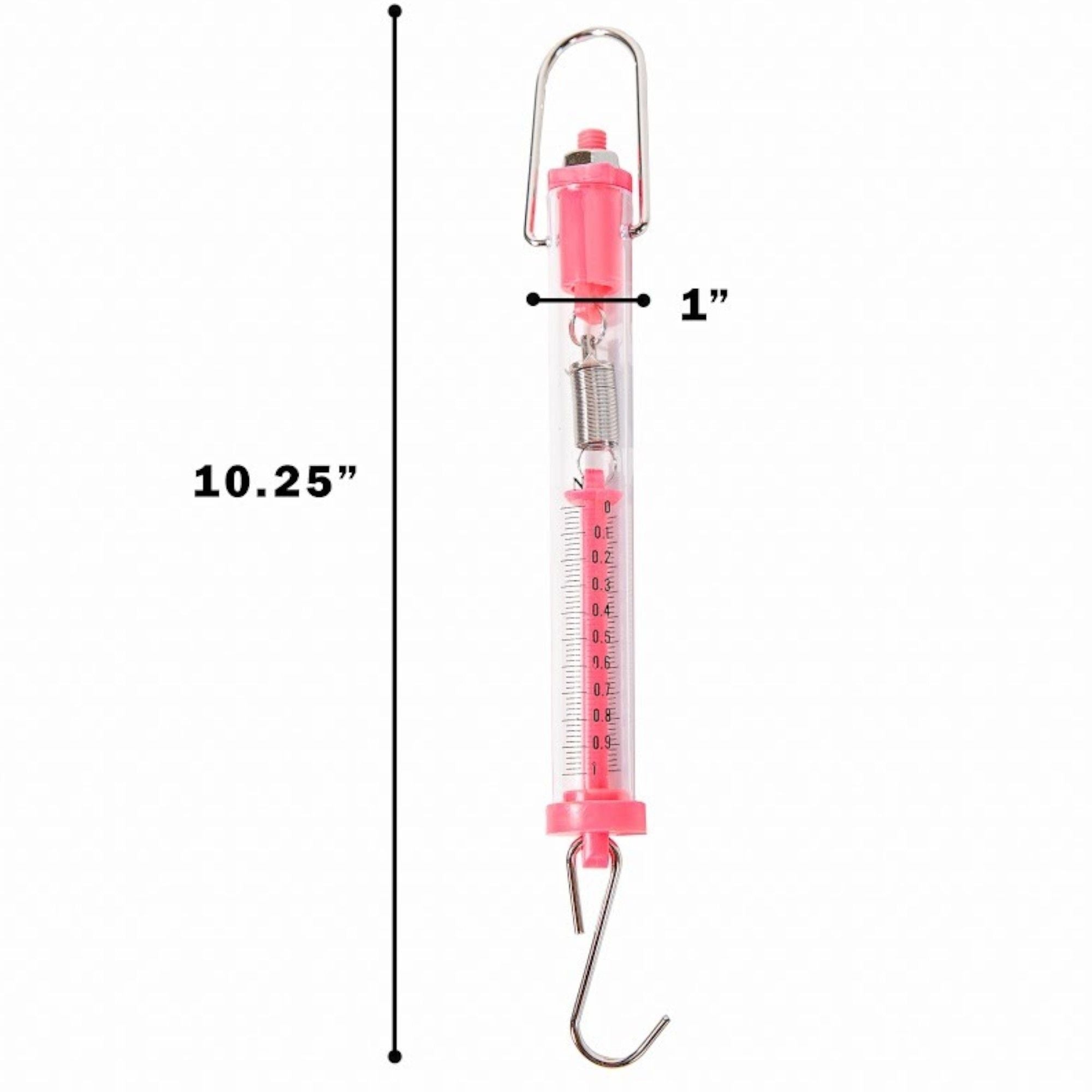 Scale, Spring – Tubular Plastic, 100g/1N Capacity – Lightweight Mechanical Hanging Scale for Science and Classroom Use