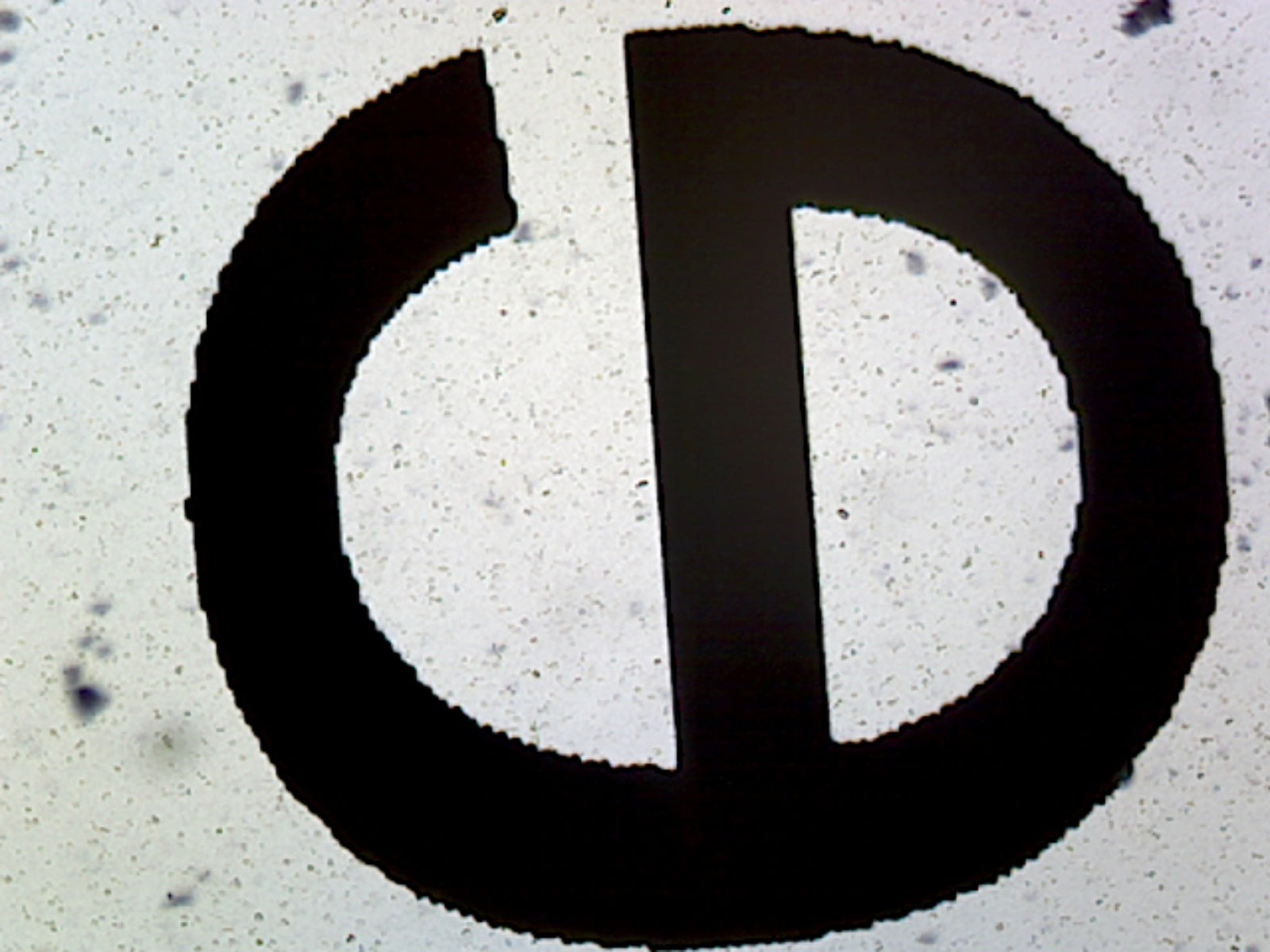 Printed Lowercase Letter "e"; Whole-mount by Go Science Crazy