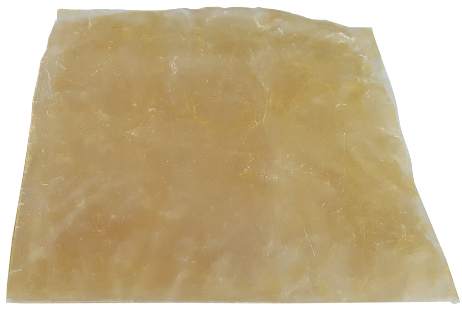 Osmosis Bladder Membrane, 5 x 5 in. Square by Go Science Crazy